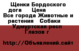 Щенки Бордоского дога.  › Цена ­ 30 000 - Все города Животные и растения » Собаки   . Удмуртская респ.,Глазов г.